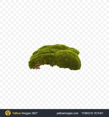 57 transparent png of banana tree. Download Clump Of Moss Transparent Png On Yellow Images 360 Clump Download Images Moss Png Transparent Yellow Image 360 Image Png