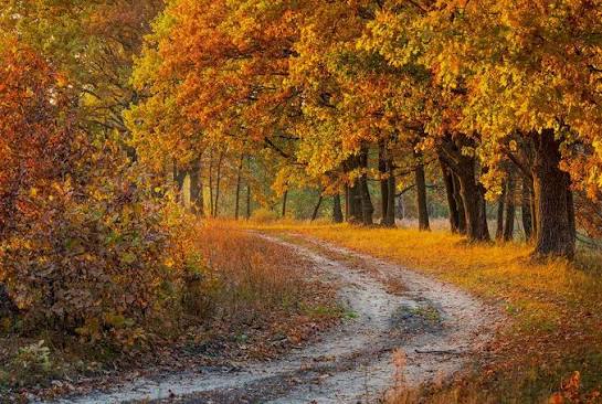Quick Tips for Capturing Fall Landscapes | Rockbrook Camera