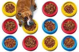 Well, that depends on what it is and what's in it. Dog Food Brands To Avoid 2021 Pet Food Reviews Australia
