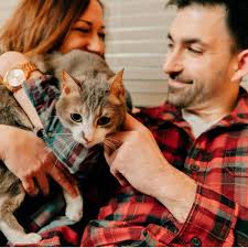 Caitlin Frazier Satterly and Brendon Shaw Dault's Wedding Website