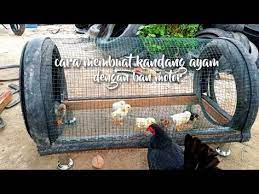 Membuat Kandang Ayam Burung Dari Ban Motor Making Chicken Bird Cages From Motorcycle Tires Youtube Folluklar Evcil Hayvan Bakimi Tavukculuk