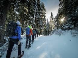 The trail offers a number of activity options and is best used from june until october. Moonlight Snowshoe With Rei Mountains To Sound Greenway Trust