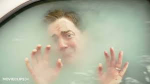 Furry Vengeance (2010)