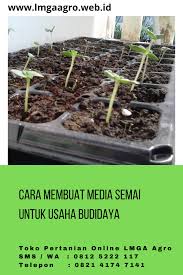 Cara Membuat Media Semai Untuk Usaha Budidaya Di 2020 Benih Tanaman Tanaman Benih