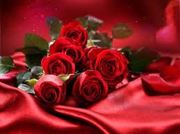 Love red rose is a free live wallpaper. Red Rose Wallpapers Free Download Group 70