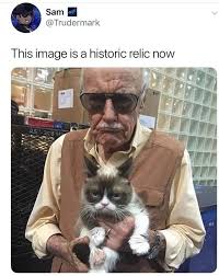 20 Best Funny Photos For Friday Morning Grumpy Cat Marvel Funny Best Funny Photos