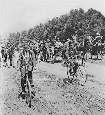 Jesse Storch (jessestorch)