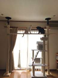 猫の幸せそうな顔がみたい 賃貸でもokなキャットウォークdiy リノベアイデア集 キナリノ キャットタワー diy キャット ウォーク diy キャットタワー
