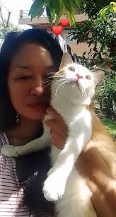 Boris hopes you dream of him tonight… sweet dreams 😴 #sweetdreams  #sleepwell #goodnight #loveyou #furballs #dream #furballfarm #cats_of_world  #catsanctuary #furballfarmcatsanctuary