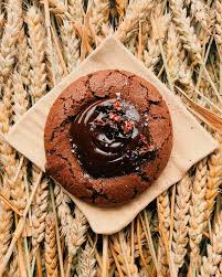 Weekly update! I'm so sorry about the horrible sound quality, I'm ordering  a microphone as we speak. Hot notes: @ilovegula in the house! I'm so happy  to have Sarah