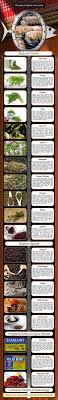 Infograph Showing Many Of The Common Herbs And Spices Used In The Preparation Of Seafood Dishes This Is Not An All In With Images Seafood Seasoning Seafood Seafood Dishes