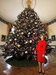 Laura Bush Unveils White House Christmas Tree White House Christmas Tree White House Christmas Blue Room Christmas Tree