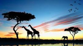 Animal Kingdom