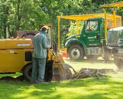 Let the stump chemicals work for four to six weeks. Is Tree Stump Removal Necessary Or Is It Better To Grind A Stump Davey Blog