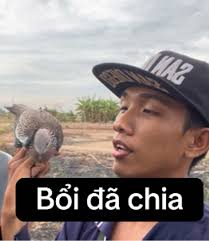 Chim Cảnh Bổi Đẹp: Bí Quyết Thu Phục