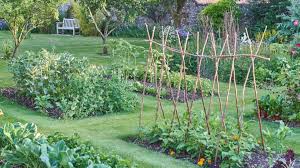 Backyard kitchens are the brilliant idea if you like something outdoor while you are cooking. Happy Gardening Vegetable Garden Designs For Small Yards