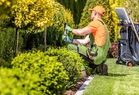Prepare for the job by engaging in. 6 Tips To Build A Solid Landscaping Company