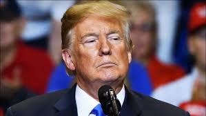 Articles by James "Rev Shark" DePorre