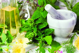 Dengan kata lain, semua jenis tanaman yang mengandung bahan atau zat aktif yang berguna sebagai. 7 Jenis Tanaman Buah Obat Herbal Ini Bisa Ditanam Di Rumah