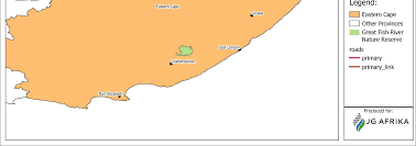 Image result for Droguetia ambigua