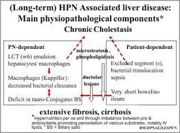 Topic 19 Nutritional Support Outside The Hospital Home Parenteral Nutrition Hpn In Adult Patients Module 19 6 Guidelines For Home Parenteral Nutrition Support In Chronic Intestinal Failure Printable Version Bernard Messing Francisca Joly Learning