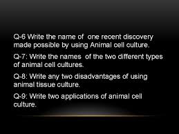 Check spelling or type a new query. Animal Tissue Culture Group4 Saddaf Tariq Hira Abbas