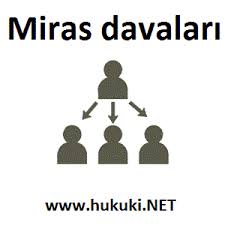 Sahipli Kopegin Serbest Dolasmasi Ve Saldirmasi