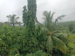 Bhandari History Bhandari caste is ...