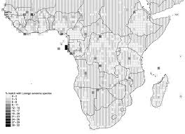 Image result for Thomandersia butayei