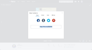 You can follow other photographers, join groups, leave comments how flickr is different from other photo platforms. How To Add Photos To A Google Website