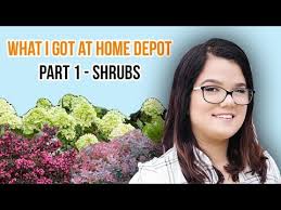 I'm actually hoping for some bogo vegetable plant coupons since the new house we are moving into already has a great. Home Depot Garden Club Coupon Code 07 2021