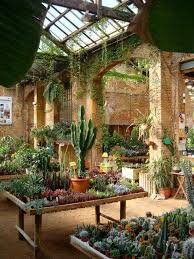 Vivero Plants Paradise Plant Garden Center