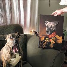 On top of that, seller was quick to respond and very easy to work with, despite being in different time zones. This Company Can Turn A Pet Into A Royal Portrait And Here Are 30 Of The Best Ones Bored Panda