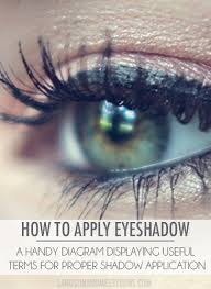 Makeup 101 Eyeshadow Diagram For Makeup Newbies Sand Sun