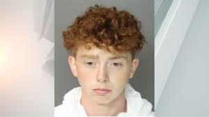 Alan Meyers Accused of Shooting Teen