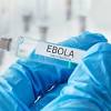 From a village in guinea to a hospital in madrid: 1