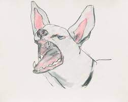 Criticism - e-flux