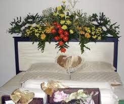 Cara menanam bunga krokot | pernah mendengar tumbuhan bernama bunga krokot? Taman Bunga Krokot Depan Rumah Ideku Unik