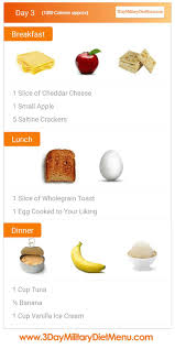 Check spelling or type a new query. Rapid Weight Loss The 3 Day Military Diet Skinny Bitch What Is The Three Day Military Diet Healthy Recipes For Weight Loss Diet Plan For Weight Loss