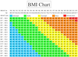Download Bmi Chart Women Men Children