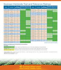 Soybean Seeds Golden Harvest