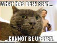 What Has Been Seen Cannot Be Unseen Know Your Meme