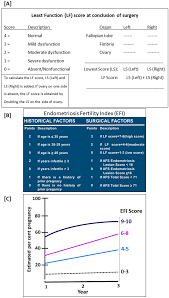 Endometriosis, fertility, index, infertility, surgery, predict, prognosis, statistics, staging, laparoscopy. Reprod Med Free Full Text Pathophysiological Basis Of Endometriosis Linked Stress Associated With Pain And Infertility A Conceptual Review Html