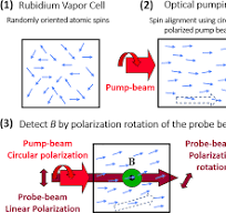 Optically-pumped-magnetometer's principle of operation (1 ...