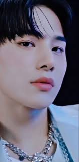 Pin Di Jungwoo