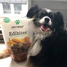 Webmd helps you buy and use the diabetes supplies you need, including meters, pumps, lancets, test strips, medication, and more. Pet Releaf How To Make Your Dog Happy 101 Go To Your Facebook