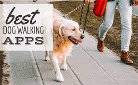 Apps that pay you to walk. Best Dog Walking App Rover Vs Wag Vs Barkly Pets Caninejournal Com