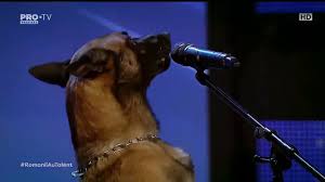 Romanii au talent 2019 1 martie. Romanii Au Talent Sezonul 9 Episodul 4 Online 1 Martie 2019 Video Dailymotion