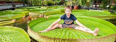 Der botanischer garten in berlin ist der größte seiner art in deutschland. Startseite