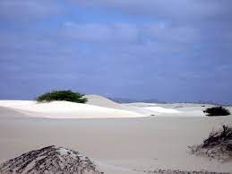 We would like to show you a description here but the site won't allow us. Deserto De Viana Wikipedia